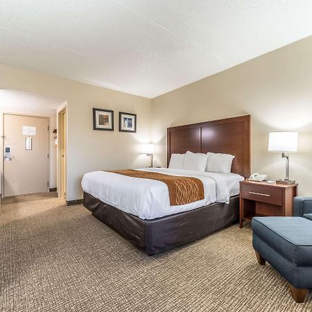 Comfort Inn Festus-St Louis South Extérieur photo